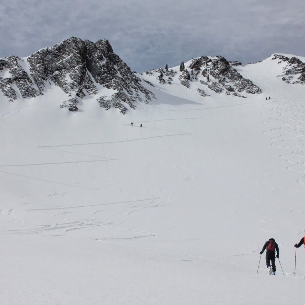 Welcome to my closet 💚 !!!!!! - Picture 6 of 16